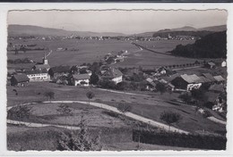 Le Pâquier, Vue Partielle, Carte-photo - Le Pâquier