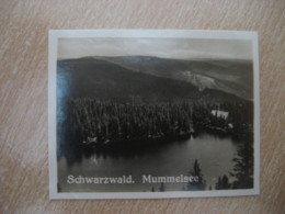 SCHWARZWALD Mummelsee Bilder Card Photo Photography (4x5,2 Cm) Baden GERMANY 30s Tobacco - Ohne Zuordnung