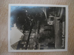 FALKENSTEIN Schloss Castle Bilder Card Photo Photography (4x5,2 Cm) Harz Mountains GERMANY 30s Tobacco - Ohne Zuordnung