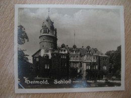 DETMOLD Schloss Castle Bilder Card Photo Photography (4x5,2cm) Westfalen Westfalia GERMANY 30s Tobacco - Unclassified