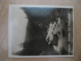 Partie Im OCKERTAL River Bilder Card Photo Photography (4x5,2cm) Harz Mountains GERMANY 30s Tobacco - Non Classificati