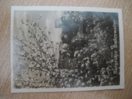 BADENWEILER Burgruine Castle Bilder Card Photo Photography (4x5,2cm) Schwarzwald Black Forest GERMANY 30s Tobacco - Unclassified