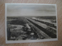 SYLT Railway Train Bilder Card Photo Photography (4x5,2cm) Isle Island GERMANY 30s Tobacco - Non Classificati