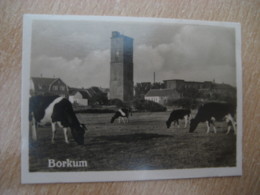 BORKUM Cow Leuchturm Lighthouse Phare Bilder Card Photo Photography (4x5,2cm) Isle Island GERMANY 30s Tobacco - Non Classificati