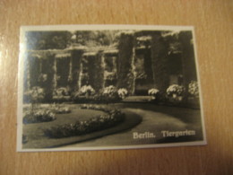 BERLIN Tiergarten Rosengarten Rose Rosa Bilder Card Photo Photography (4,3x6,3cm) Garden Gardens GERMANY 30s Tobacco - Non Classificati