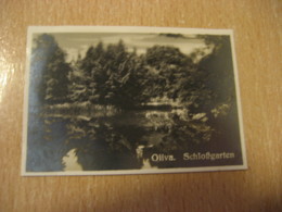OLIVA Schlossgarten Castle Bilder Card Photo Photography (4,3x6,3cm) Garden Gardens GERMANY 30s Tobacco - Non Classificati