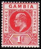 1902-1905. GAMBIA. __ Edward VII. __1 D. (Michel 29) - JF319315 - Gambia (...-1964)