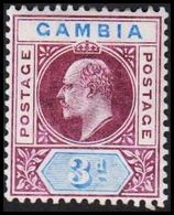 1902-1905. GAMBIA. __ Edward VII. __3 D. (Michel 32) - JF319318 - Gambia (...-1964)