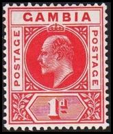 1904-1909. GAMBIA. __ Edward VII. __1 D. (Michel 41) - JF319323 - Gambia (...-1964)