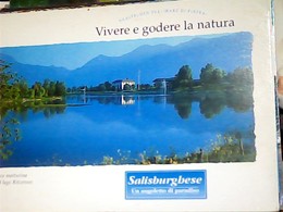 AUSTRIA SAALFELDEN Morgendliche Ruhe Am Ritzensee, Salzburger Land Natur Erleben Und Geniessen N1990 HJ3909 - Saalfelden