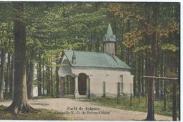 Forêt De Soignes - Chapelle N.-D. De Bonne Odeur - Photo Belge Lumière Boitsfort - Tervuren