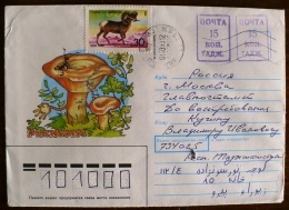 TADJIKISTAN Champignons, Setas, Mushroom. 1 Entier Postal Ayant Circulé En 1992. - Funghi