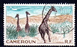 CAMEROUN PA N° 47 OBL - Airmail