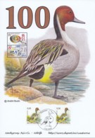 Doc 099 - Pijlstraat / Canard Pilet - 100 Timbres Buzin - 1985-.. Birds (Buzin)