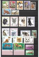 1604p: Motivlot Katzen Aus Aller Welt, Siehe Scan - Other & Unclassified