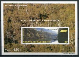 NOUVELLE CALEDONIE - BF N° 12 , PARC NATUREL DE LA RIVIÉRE BLEU , NON DENTELÉ - LUXE - Blocks & Sheetlets