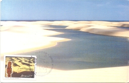 BRASIL POST CARD MAXIMUM DELTA DO PARNAIBA (GENN200863) - Maximumkarten