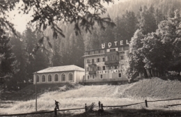 AK - SILLIAN - Hotel Weitlanbrunn 1950 - Sillian