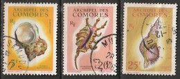 Comores N° 22 - 24  Coquillages - Used Stamps