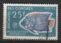 Comores N° 48 Poisson - Oblitérés