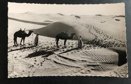 Scenes Et Types Passage De Dunes Au Desert - Océanie