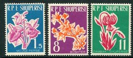 ALBANIA 1961 Flowers MNH / **   Michel 633-35 - Albanie