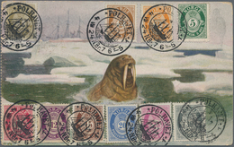 Thematik: Arktis / Arctic: 1924/1926, POLHAVET, "FRAM" Ppc "Walrus" Bearing Norway 1ö.-30ö. On Pictu - Andere & Zonder Classificatie