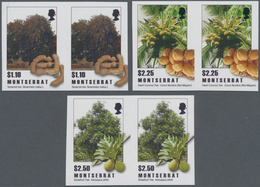 Thematik: Bäume / Trees: 2009, MONTSERRAT: Trees And Their Fruits Complete Set Of Five (Tamarind Tre - Árboles