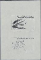 Thematik: Flora, Botanik / Flora, Botany, Bloom: 1973, Czechoslovakia, 60h. "Tulipa", Three Progress - Other & Unclassified