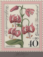 Thematik: Flora, Botanik / Flora, Botany, Bloom: 1975, Bund, Nicht Angenommener Künstlerentwurf (17x - Autres & Non Classés