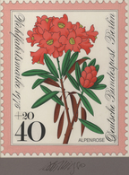 Thematik: Flora, Botanik / Flora, Botany, Bloom: 1975, Bund, Fast Identischer Künstlerentwurf (17x20 - Sonstige & Ohne Zuordnung