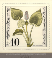 Thematik: Flora, Botanik / Flora, Botany, Bloom: 1980, Berlin Nicht Angenommener Künstlerentwurf (24 - Sonstige & Ohne Zuordnung