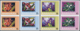 Thematik: Flora, Botanik / Flora, Botany, Bloom: 2005, BAHAMAS: Bush Medicine Plants Complete Set Of - Other & Unclassified