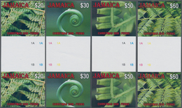 Thematik: Flora, Botanik / Flora, Botany, Bloom: 2008, JAMAICA: Christmas 'Ferns' Complete Set Of Fo - Other & Unclassified