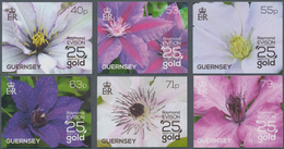 Thematik: Flora, Botanik / Flora, Botany, Bloom: 2013, Guernsey. Complete Set "Clematis" (6 Values) - Sonstige & Ohne Zuordnung