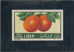 Thematik: Flora-Obst + Früchte / Flora-fruits: 1955, Libanon, Issue Fruit, Artist Drawing(140x85) Or - Frutas