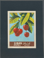Thematik: Flora-Obst + Früchte / Flora-fruits: 1962, Libanon, Issue Fruit, Artist Drawing(100x134) S - Fruits