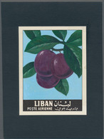 Thematik: Flora-Obst + Früchte / Flora-fruits: 1962, Libanon, Issue Fruit, Artist Drawing(102x144) P - Frutta