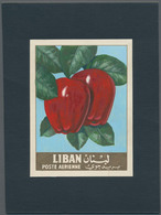 Thematik: Flora-Obst + Früchte / Flora-fruits: 1962, Libanon, Issue Fruit, Artist Drawing(100x134)ap - Obst & Früchte