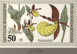 Thematik: Flora-Orchideen / Flora-orchids: 1984, Bund, Nicht Angenommener Künstlerentwurf (26x16) Vo - Orchideen