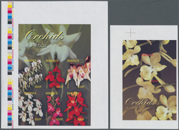 Thematik: Flora-Orchideen / Flora-orchids: 2004, BURUNDI: Orchids Complete Set Of Six In An IMPERFOR - Orquideas