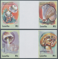 Thematik: Pilze / Mushrooms: 2001, Lesotho. Complete Set "Mushrooms" In 2 Horizontal Gutter Pairs Sh - Pilze