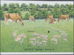 Thematik: Pilze / Mushrooms: 2005, JERSEY: Mushrooms £2 'Fasiry Ring Mushroom (Marasmius Oreades)' I - Paddestoelen