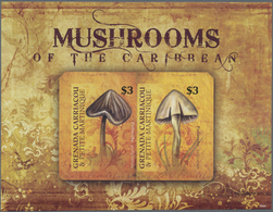 Thematik: Pilze / Mushrooms: 2009, GRENADA-CARRIACOU: Mushrooms Of The Caribbean IMPERFORATE Sheetle - Pilze