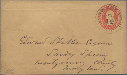 Thematik: Tabak / Tobacco: 1854 (ca.), USA: Stat. Envelope Washington 3c. Red On Buff Embossed Oval - Tabacco