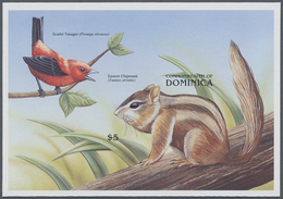 Thematik: Tiere, Fauna / Animals, Fauna: 1999, Dominica. Imperforate Souvenir Sheet (1 Value) Showin - Otros & Sin Clasificación