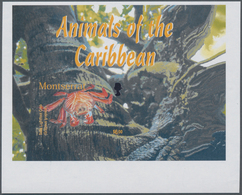 Thematik: Tiere, Fauna / Animals, Fauna: 2003, MONTSERRAT: Animals Of The Caribbean Complete Set Of - Other & Unclassified