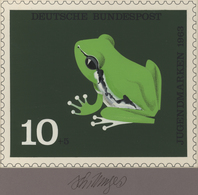 Thematik: Tiere-Amphibien / Animals-amphibian: 1963, Bund, Nicht Angenommener Künstlerentwurf (21x17 - Otros & Sin Clasificación