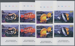 Thematik: Tiere-Fische / Animals-fishes: 2003, MALDIVES: Coral Fishes Complete Set Of Four In Vertic - Peces