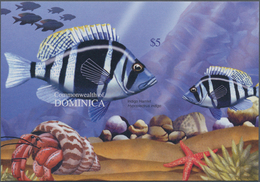 Thematik: Tiere-Fische / Animals-fishes: 2004, Dominica. Imperforate Souvenir Sheet (1 Value) Showin - Peces